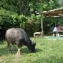 无锡马山太湖国家旅游度假区