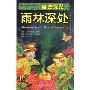 雨林深处