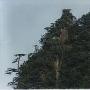 天井山森林公园