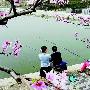 黑虎山村