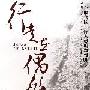 行走在偶然间(一个联合国工作人员的匆匆脚步)