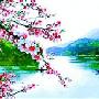 李花山村