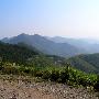 四明山林场