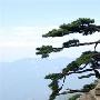 白马尖景区