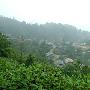 小平地团山村