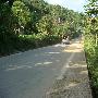 回波桥头村