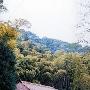 黄草山