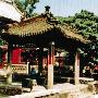 普照寺六朝松