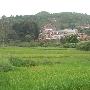 马黄田村