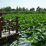 北京野鸭湖湿地自然保护区