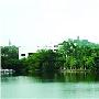 逸仙湖公园