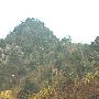 青川摩天岭