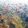 广西乐业—凤山地质公园