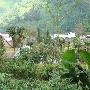 芒东山二组自然村