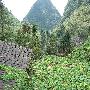 上月亮湾自然村