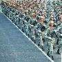 阅兵发布会：此次阅兵共编50个方(梯)队