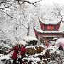 岳麓山四季旅游攻略