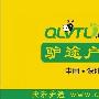 我体会到了创造的快乐作文350字