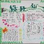 《绿野仙踪》观后感作文250字