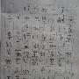 春游日记作文650字