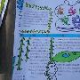 家乡的变化作文350字