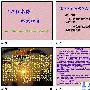初一作文亲情记叙文