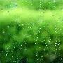 春天的小雨作文500字