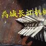 刮鱼鳞作文550字