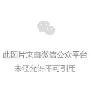 一个充满问号的童年作文200字
