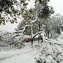 下雪，真好！作文1200字