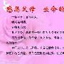 感恩父母作文600字