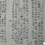 中秋见闻作文350字