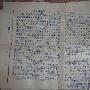 蚂蚁给我的启示作文450字