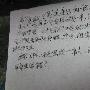 我爱我的老师作文550字