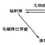 学好高中生物的几点建议