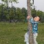 公园里的趣闻作文800字