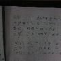假如你在麦田里遇到了我作文900字