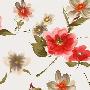 粗犷的水彩画花朵花瓣桌面壁纸二－其他壁纸