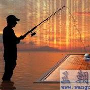 Facebook成为第二大钓鱼对象网站－网页浏览