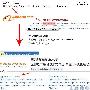 alibaba网站核心关键词布局和操作－设计理念