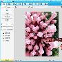 HDR特效 美图秀秀2.6新版出炉－照片图片