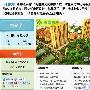 高朋大连首发购房优惠券 抢购火爆开团购先河