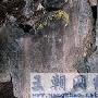 视觉革命：细数视界进化进程