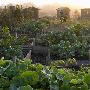 食用花園類冠軍《奧爾德曼摩爾的花園》【2010國際花園攝影大賽作品】