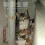 大宝妈被彻底激怒 动物世界