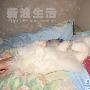有妈的孩子像个宝 动物世界