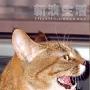 乌头姐弟狮虎大战 动物世界