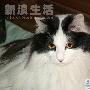 可可和乐乐洗澡记 动物世界