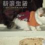 猫丫丫的灿烂新生 动物世界