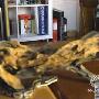 一蛇三猫 2046四角恋 动物世界
